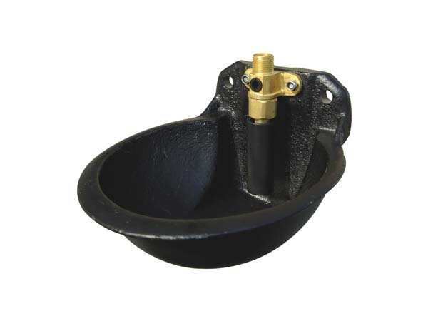 Máng uống cho bò